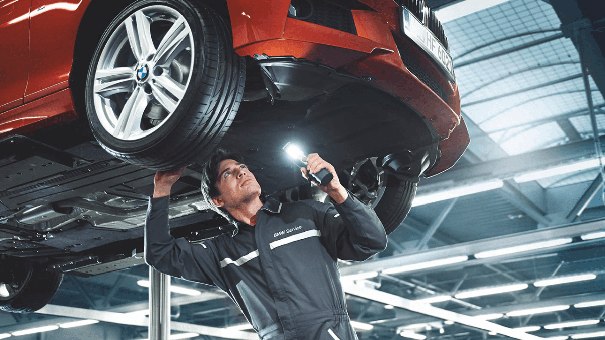 BMW Multi-Point Inspection