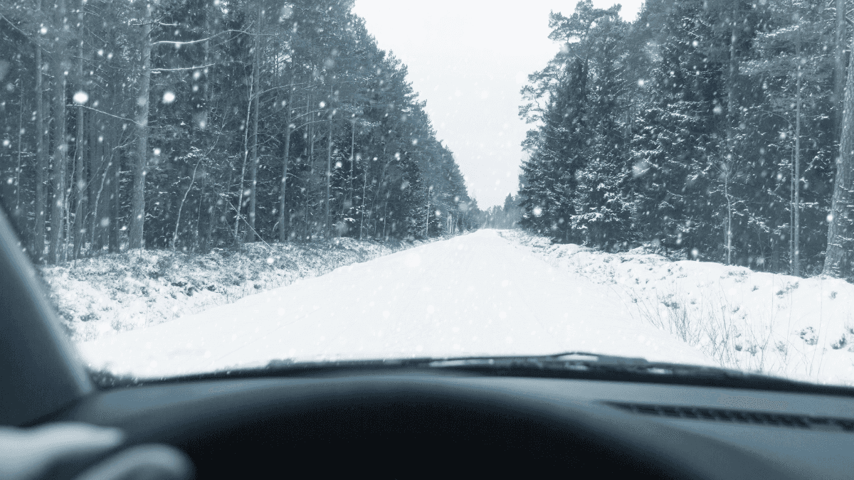 BMW Short Trip Driving