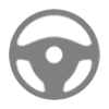 BMW gray Steering Assistant indicator