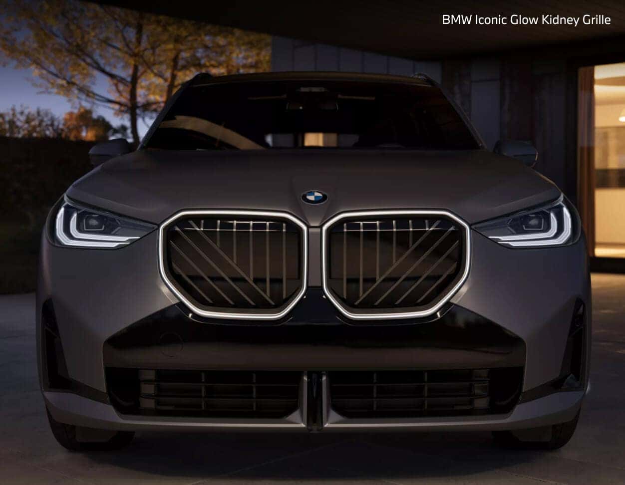 BMW X3 Iconic Glow Kidney Grille