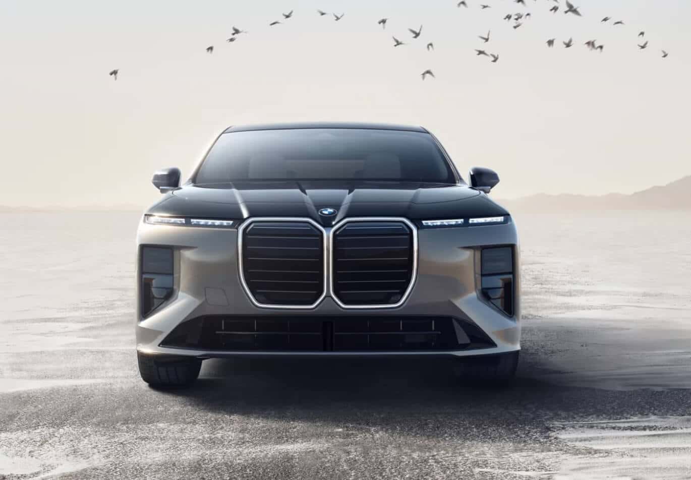 A front exterior view of a silver BMW 7 Series Sedan in a bright open desert landscape with birds flying overhead.
