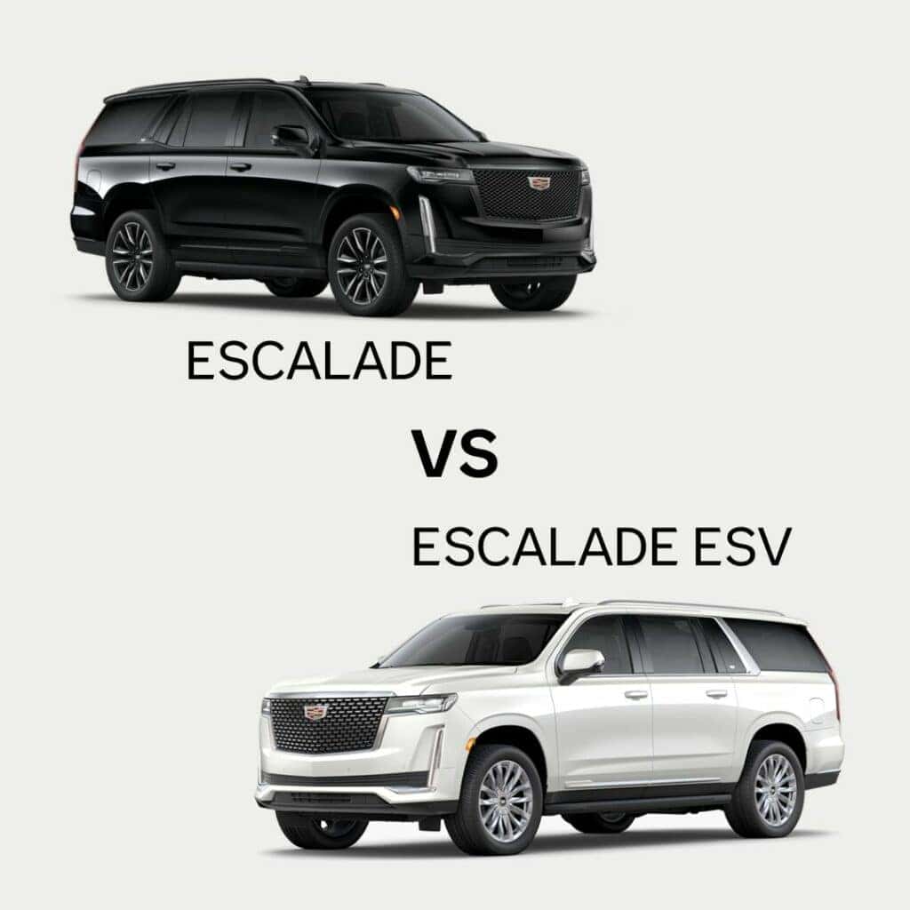 Escalade vs Escalade ESV | Cavender Cadillac
