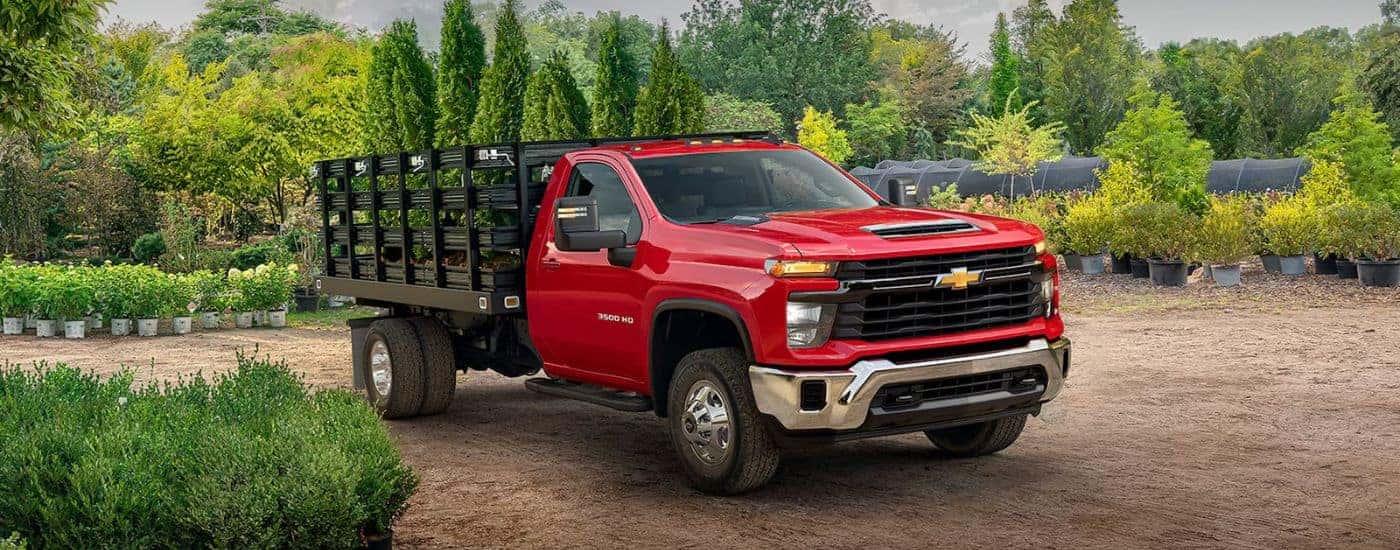 A red 2026 Chevy Silverado 3500 HD Chassis Cab hauling trees from a garden center.