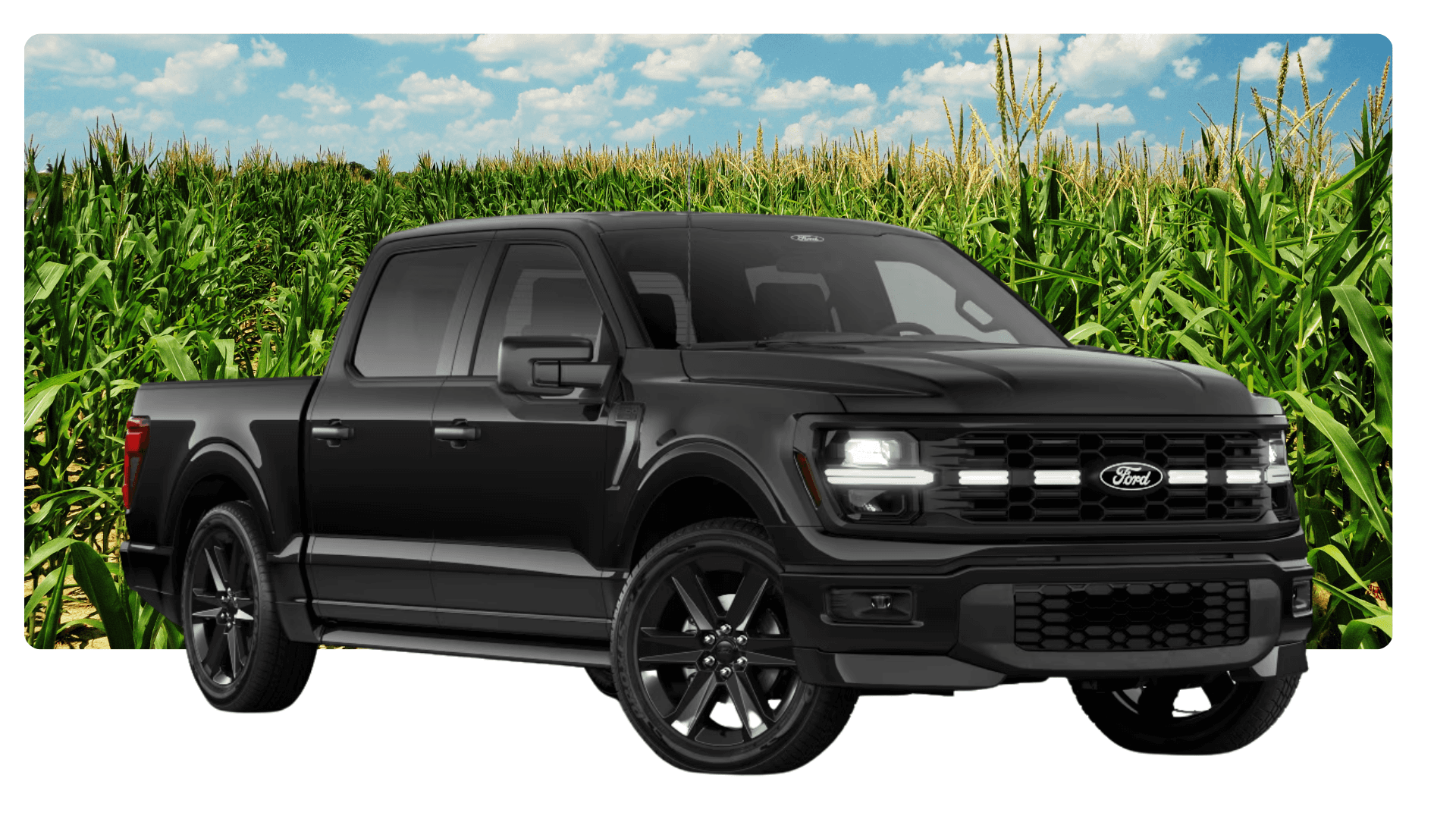Compare the Chevy Silverado and Ford F-150