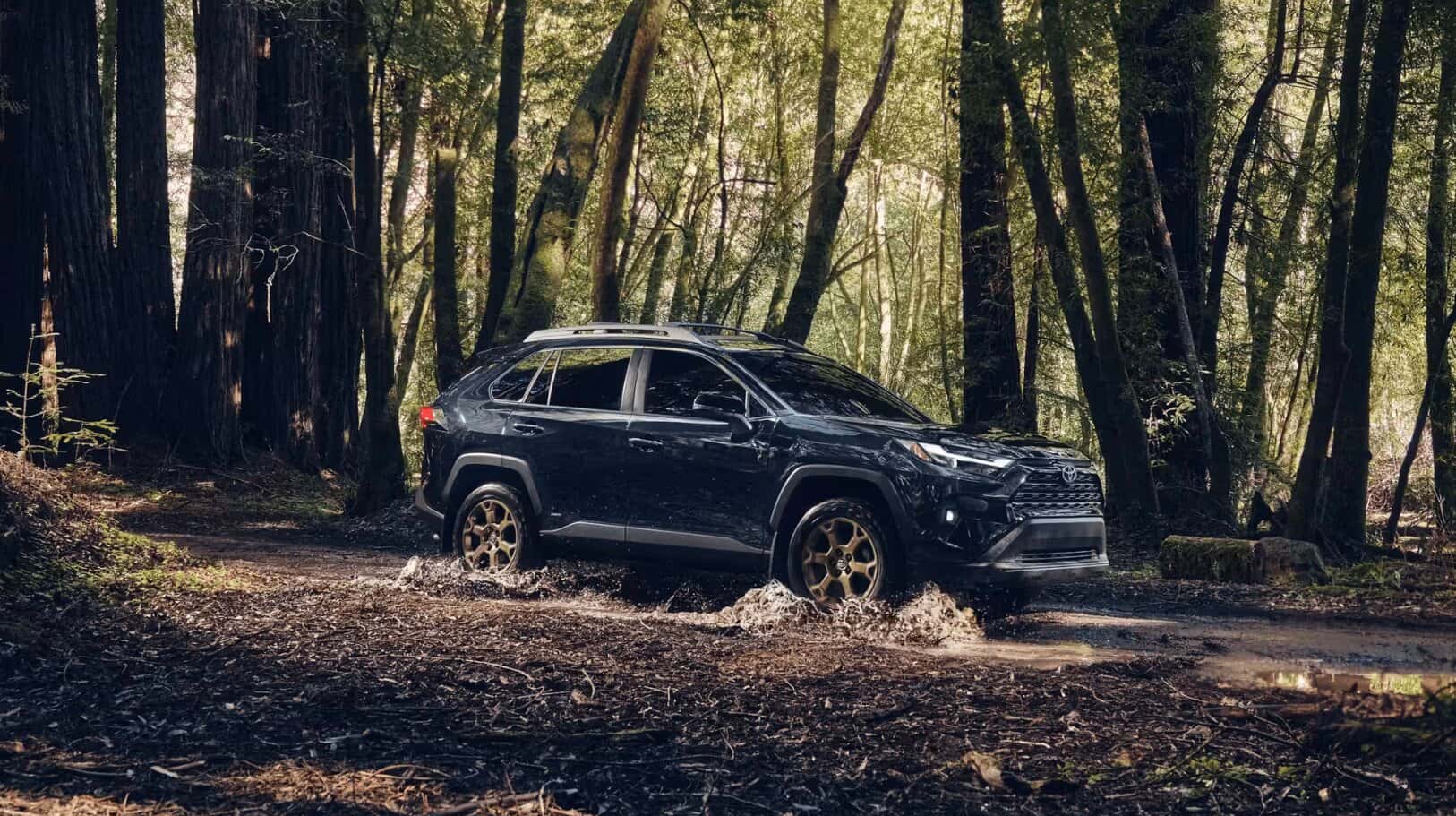 2025 Toyota RAV4 blue exterior