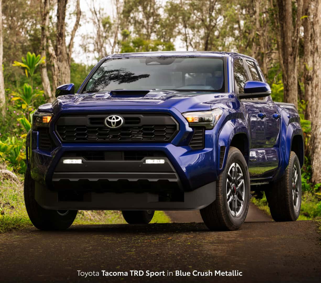 Toyota Tacoma TRD Sport