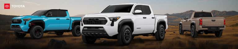 Toyota Tacoma Color Options Guide