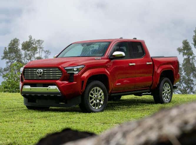 Toyota Tacoma Color Options