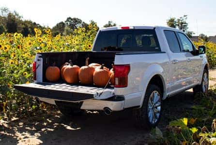 A Ford F-150 with pumpkins in the bed of the truck