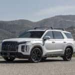 White Palisade XRT parked in the mountains