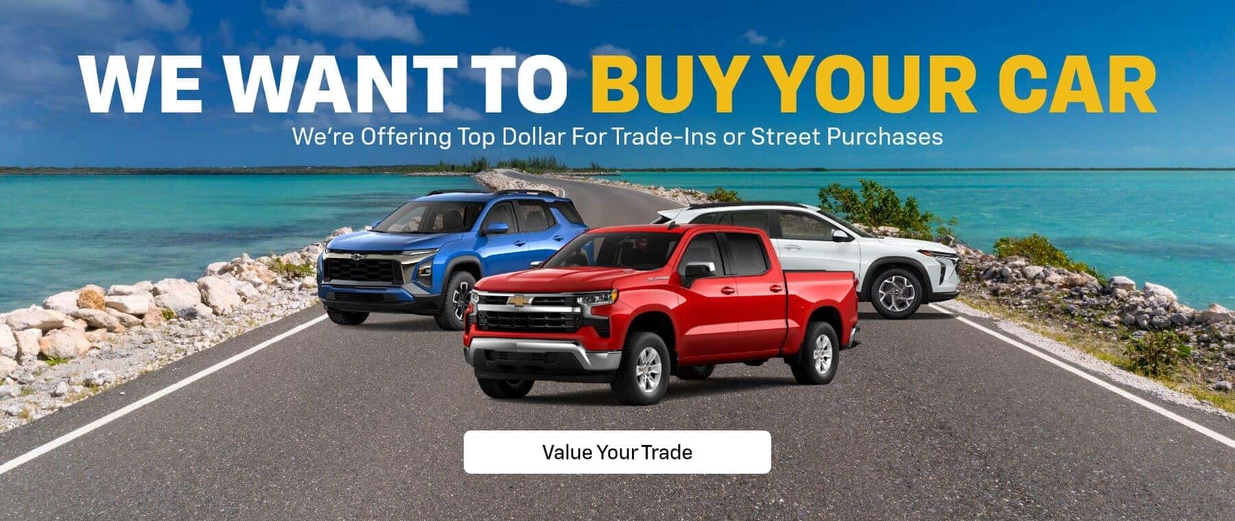 We Want To Buy Your Car