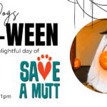 Kendall Auto Howl-O-Ween Event
