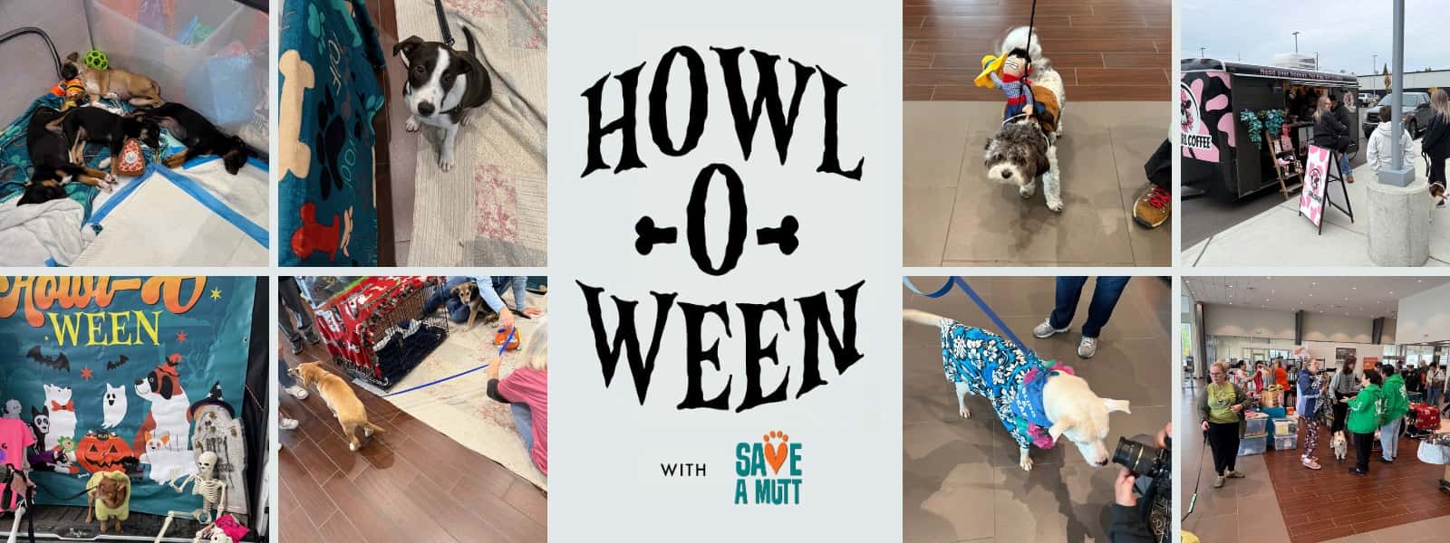 Save-A-Mutt event