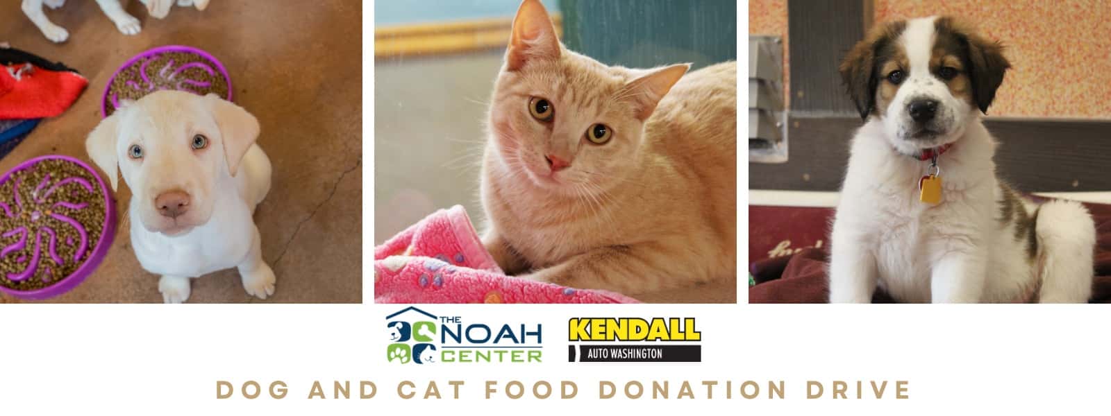 The NOAH Center for a Dog and Cat Food Donation Drive