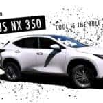 2024 Lexus NX 350 in Eugene, OR