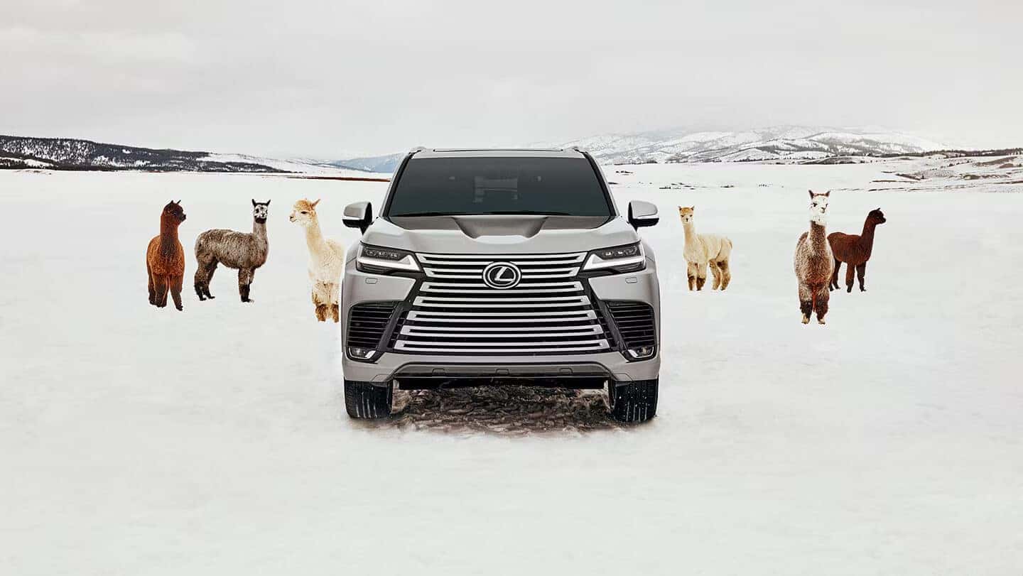 New 2025 Lexus LX in Eugene, OR