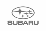 Subaru Brand Logo