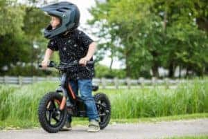 Harley Iron-e Bike