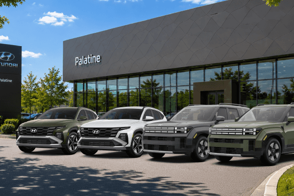 <strong> 0% APR Financing For 60 Months</strong>