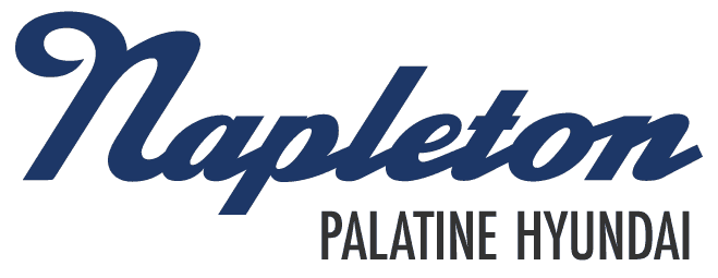 Napleton Palatine Hyundai logo