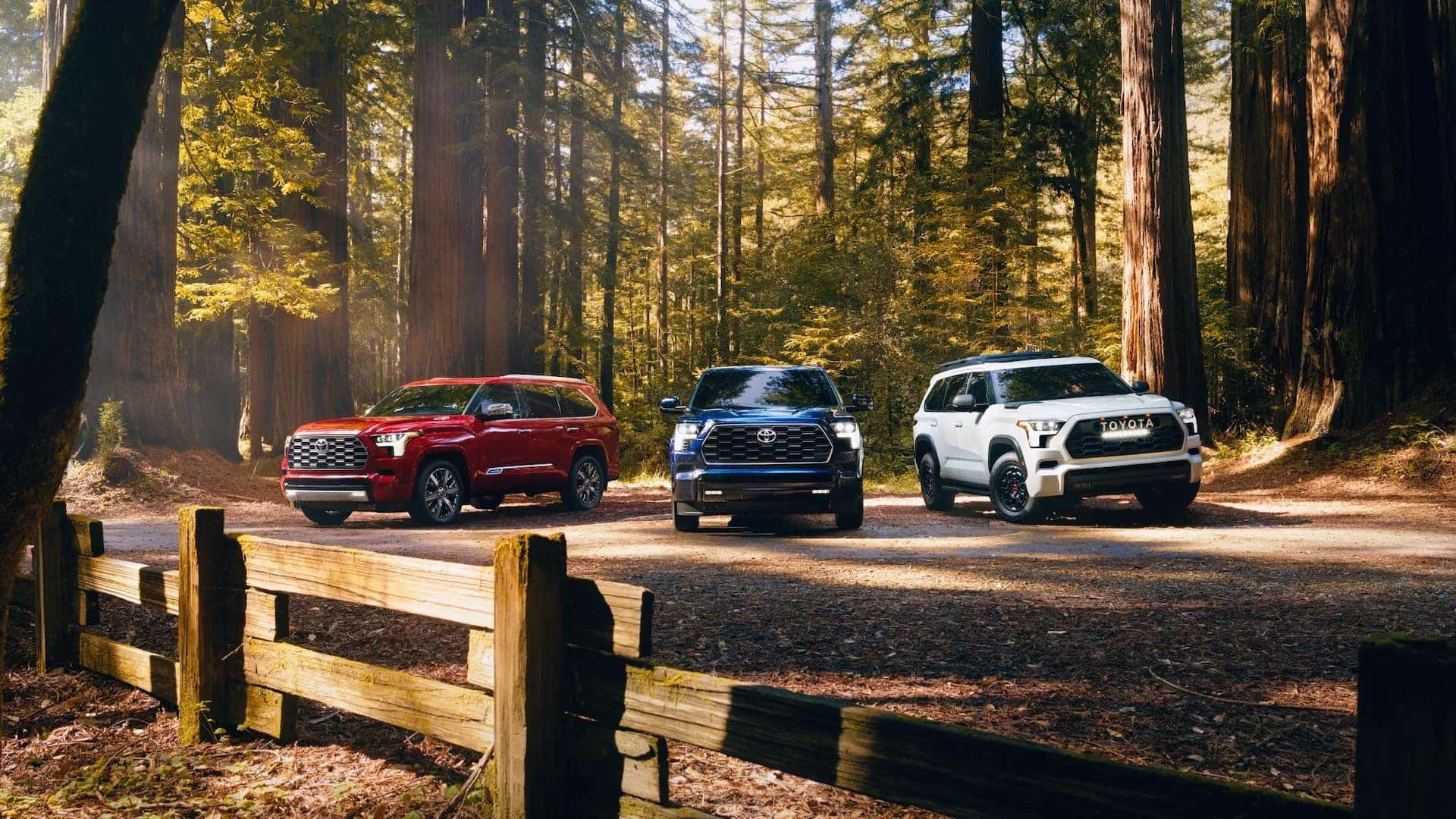 Three 2025 Toyota Sequoia SUVs Near Me in Covington, LA