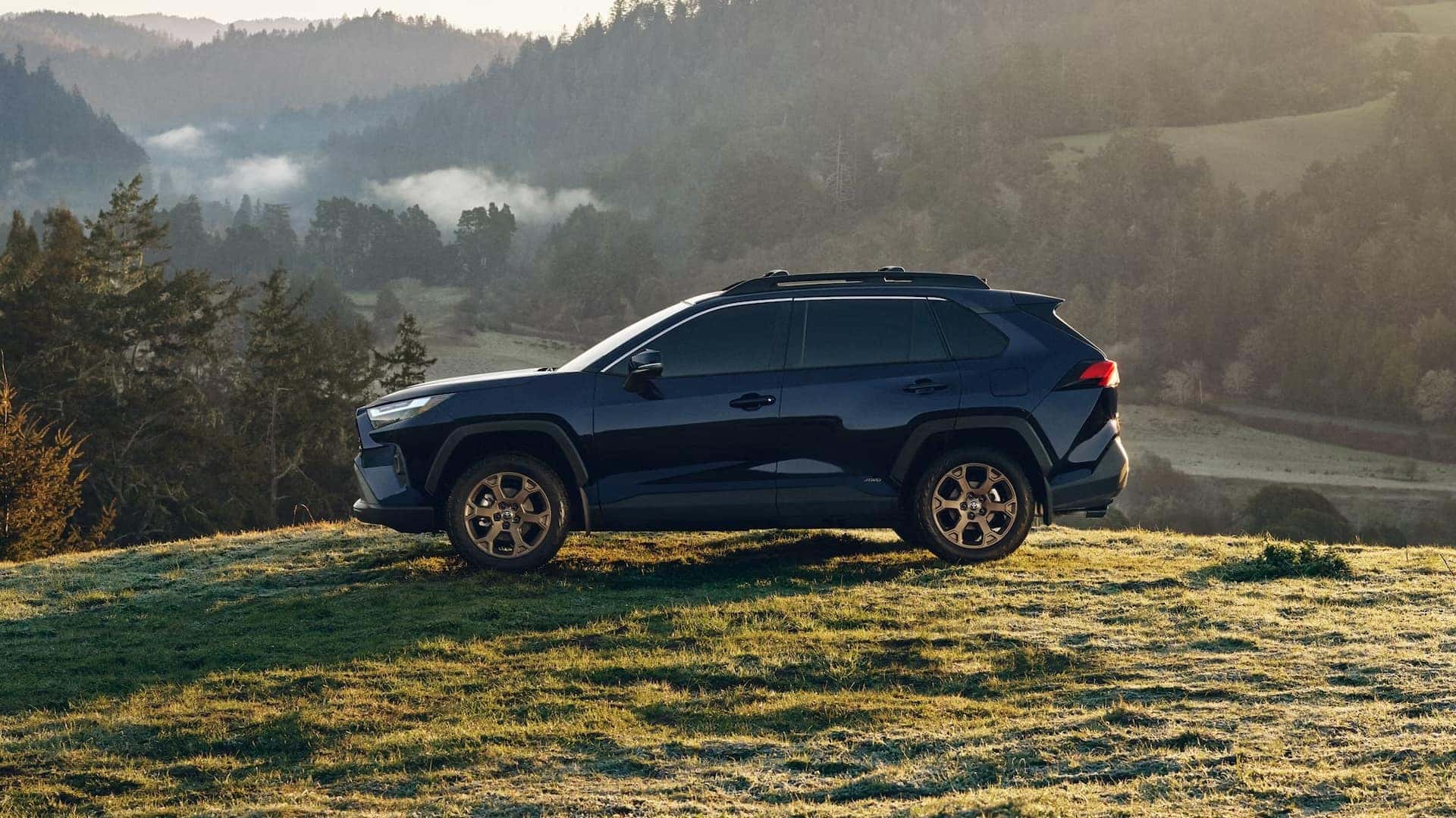 New Blue 2025 RAV4 Exterior Nearby Hammond