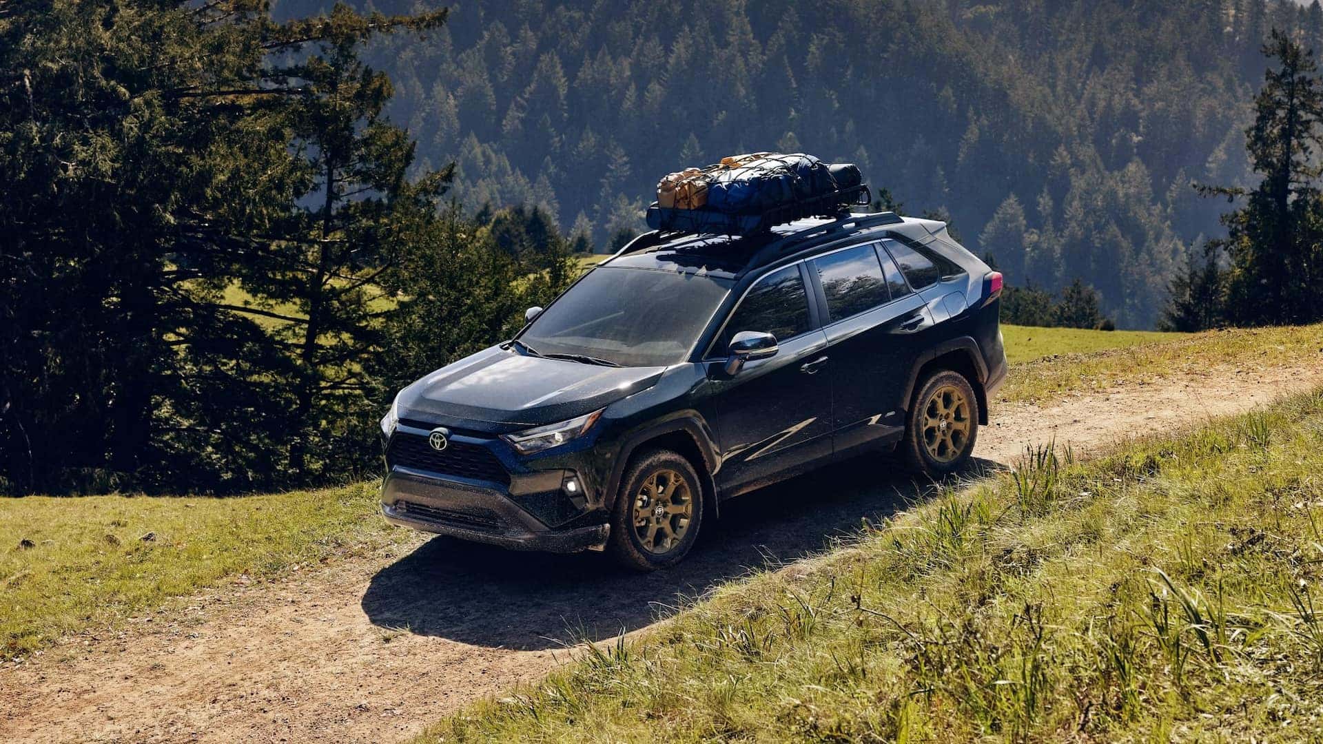 Blue New 2025 Toyota RAV4 Near Me in Covington, LA