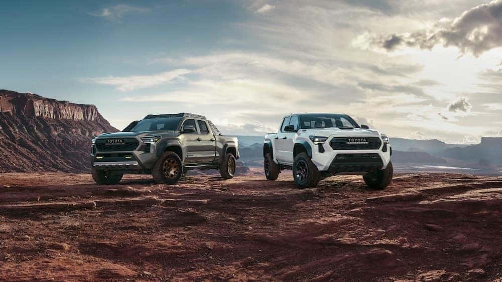 2025 Toyota Tacoma Trailhunter in Bronze Oxide and TRD Pro in Ice Cap for sale in Covington, LA
