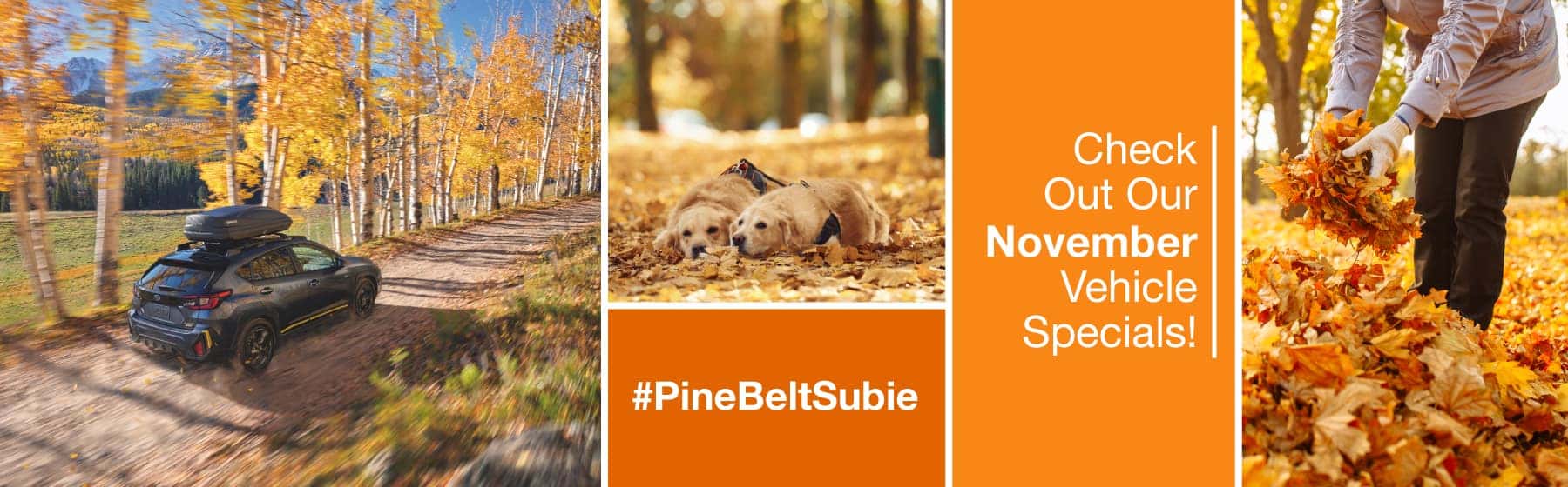 PBE-0000-November-2023-Monthly-Specials_SUBARU-New-Safe-Space