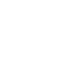 Google Icon