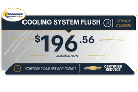 Cooling System Flush