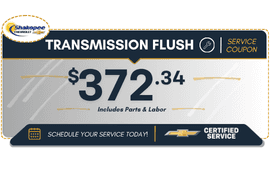 Transmission Flush