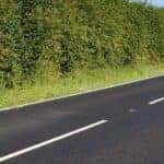 Pleasant-Road-Background